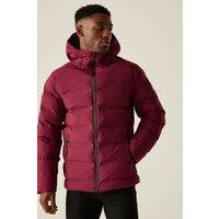 Regatta Men's Altoro Thermal Waterproof Padded Jacket in Maroon | Size: Large