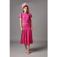 Lace Frill Sleeve High Neck Midi Dress