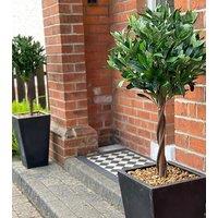 Leaf Pair of 120cm (4ft) Twist Natural Artificial Topiary Bay Laurel Ball Trees in Green | Size: 120 cm