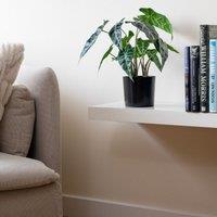Scottish Everlastings Ltd 38cm Real Touch Caladium Plant in Green