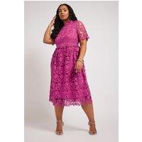 Yours Women's Lace Crochet Midi Dress in Pink | Size: 14