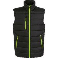 Regatta Professional Men's Thermal Body Warmer in Pale Green | Size: Large