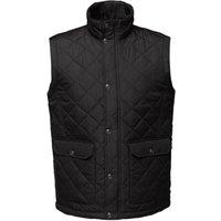 Regatta Professional Men's Quilted Body Warmer in Black | Size: 3XL
