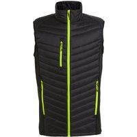 Regatta Professional Men's Quilted Hybrid Gilet in Pale Green | Size: 2XL