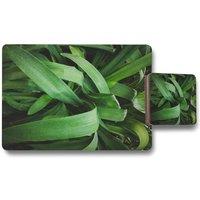 Benjamin Tate Design tropical leaves closeup greenhouse atmospheric background selective focus placemat coaster set in Natural