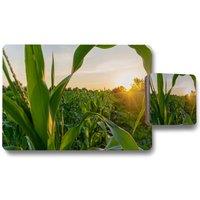 Benjamin Tate Design corn & sun close up placemat coaster set in Natural