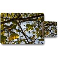 Benjamin Tate Design tree leaves in the sunshine nature photography leaves & branches placemat coaster set in Natural