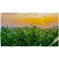 Benjamin Tate Design Garden Tools