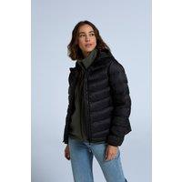 Animal Women's 'Light Cloud Cosi' Water Resistant Zipped Pockets Cosy Padded Jacket in Jet Black | Size: 20
