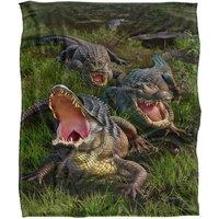 JQ Licensing Jlo Alligators Silky Touch Super Soft Throw Blanket 152 X 127 cm in White