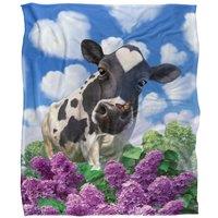 JQ Licensing Jlo Cow & Butterflies Garden Silky Touch Super Soft Throw Blanket 152 X 127 cm in White