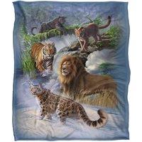 JQ Licensing Jlo Big Cats Lion, Tiger, Leopard, Cougar Silky Touch Super Soft Throw Blanket 152 X 127 cm in White