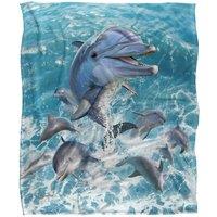 JQ Licensing Jlo Dolphins Jumping Silky Touch Super Soft Throw Blanket 152 X 127 cm in White