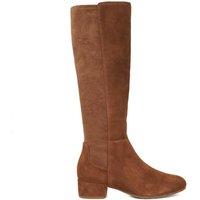 Dune London Women's 'Tayla' Suede Knee High Boots in Tan | Size: 3