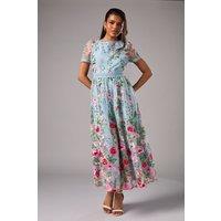 Coast Women's Petite Embroidered Mesh Midi Dress With Lace Trim in Blue | Size: 8