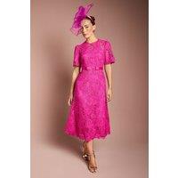 Coast Women's Lace Midi Dress With Bow Belt in Berry | Size: 12