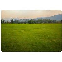 Benjamin Tate Design Image Of Lush Grass Field Designer Rug in Natural | Size: Large