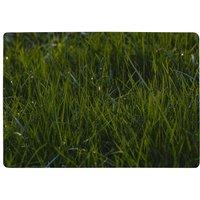 Benjamin Tate Design Fresh Green Grass Background, Natural Grass Designer Rug | Size: Large