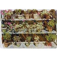 Benjamin Tate Design Plant Pots Rug in Natural | Size: Large