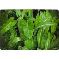 Benjamin Tate Design Abstract Background Of Dark Green Leaves Designer Rug in Natural | Size: Large