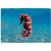 Benjamin Tate Design Mediterranean Seahorse Designer Rug in Natural | Size: Large