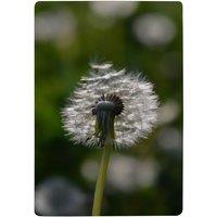 Benjamin Tate Design Fluffy Flower Designer Rug in Natural | Size: Large