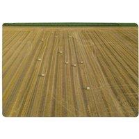 Benjamin Tate Design Straw Bales Of Wheat Lying On Harvested Field Designer Rug in Natural | Size: Large