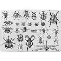 Benjamin Tate Design Fleas Many Species In Vintage Old Hand Drawn Style Designer Rug in Natural | Size: Large