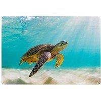 Benjamin Tate Design Photo Of Sea Turtle In The Galapagos Island Designer Rug in Natural | Size: Large