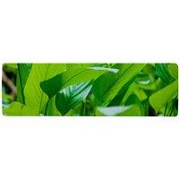Benjamin Tate Design Green leaf background abstract of nature Designer Runner Rug in Natural | Size: 67 cm x 230 cm