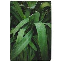 Benjamin Tate Design Atmospheric Background, Selective Focus Designer Rug in Natural | Size: Large