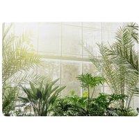 Benjamin Tate Design Green Plants In Botanical Gardens Designer Rug in Natural | Size: Large