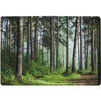 Benjamin Tate Design Beautiful Summer Forest With Different Trees Designer Rug in Natural | Size: Large
