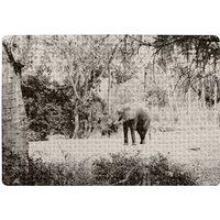 Benjamin Tate Design Elephant Jungle Rug in Natural | Size: Large