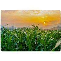 Benjamin Tate Design Green Corn Field In Agricultural Garden & Light Shines Sunset Designer Rug in Natural | Size: Large