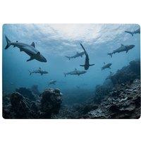 Benjamin Tate Design Schooling Grey Reef Sharks, Ningaloo Reef, Western Australia Designer Rug in Natural | Size: Large