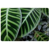 Benjamin Tate Design Yellow Structure In Exotic Jungle Setting Designer Rug in Natural | Size: Large