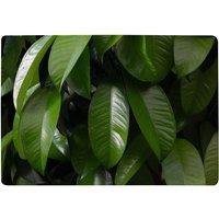 Benjamin Tate Design Closeup Of Beautiful Glossy Green Leaves Designer Rug in Natural | Size: Large