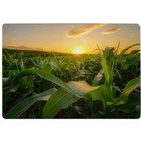 Benjamin Tate Design Field At Sunset Designer Rug Designer Rug in Natural | Size: Large