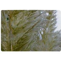 Benjamin Tate Design Autumn Pampas Grass Close Up Designer Rug in Natural | Size: Large