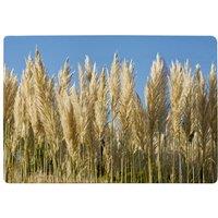 Benjamin Tate Design Pampus Grass Designer Rug in Natural | Size: Large