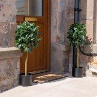 Scottish Everlastings Ltd Set of 2 90cm Bay Tree in Pot in Green