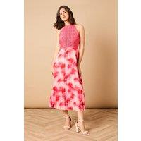 Oasis Women's Printed Lace Mix Halterneck Midi Dress | Size: 18