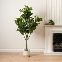 Scottish Everlastings Ltd 150cm Fiddleleaf Tree in Pot KD in Green