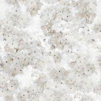 Muriva Apple Blossom Wallpaper in Natural
