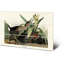 John James Audubon Green Heron Wood Print in Bright Green