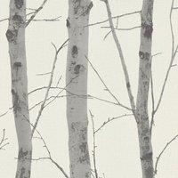 Erismann Birch Trees Wallpaper in Cream