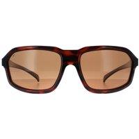 Serengeti Men's Wrap Shiny Tortoise Saturn Drivers Polarized Hext in Brown