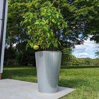 Woven Wood 70cm Zinc Silver Cone Planter