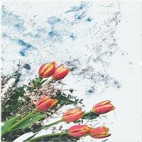 Benjamin Tate Design Flowers On Marble Splash Back in Natural